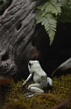Kids_DZoo_Safari-I (55)_MonkeyFrog